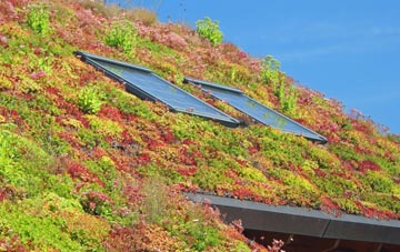 Floods Ferry living roof systems